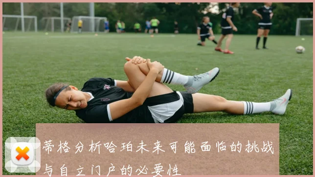 蒂格分析哈珀未来可能面临的挑战与自立门户的必要性
